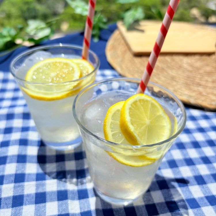 シュワ！すっきり！純りんご酢の炭酸割り