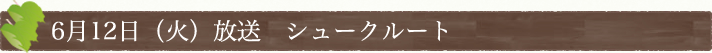 6月12日(火)放送　シュークルート