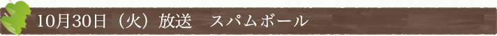 10月30日(火)放送　スパムボール