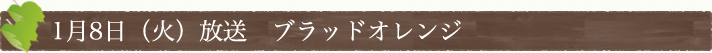 1月8日(火)放送　ブラッドオレンジ