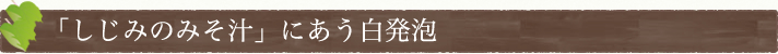 「しじみのみそ汁」にあう白発泡