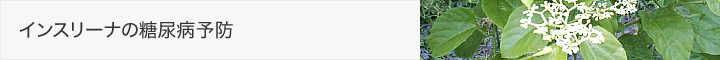 インスリーナの糖尿病予防
