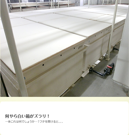何やら白い箱がズラリ！