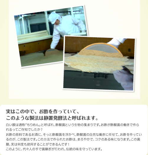実はこの中で、お酢を作っていて、このような製法は静置発酵法と呼ばれます。