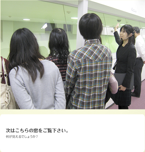 次はこちらの窓をご覧下さい。