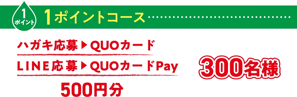 1ポイントコース