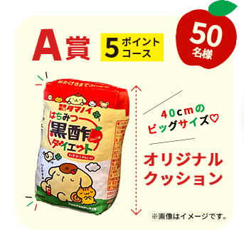 A賞 5ポイントコース オリジナルクッション 50名様