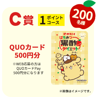 C賞 1ポイントコース QUOカード500円分 ※WEB応募の方はQUOカードPay500円分になります 200名様