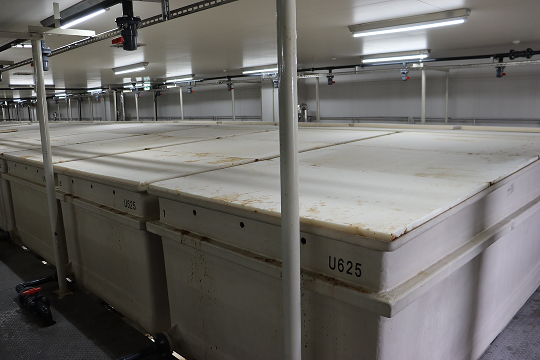 工場内の熟成エリア写真