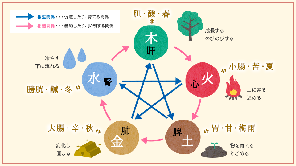 はじめての薬膳とは はじめての薬膳 八宝菜の素 タマノイ酢株式会社