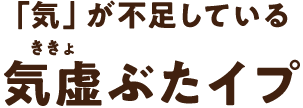 「気」が不足している気虚ぶたイプ