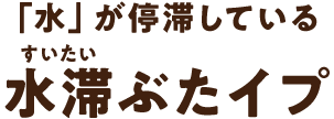 「水」が停滞している水滞ぶたイプ